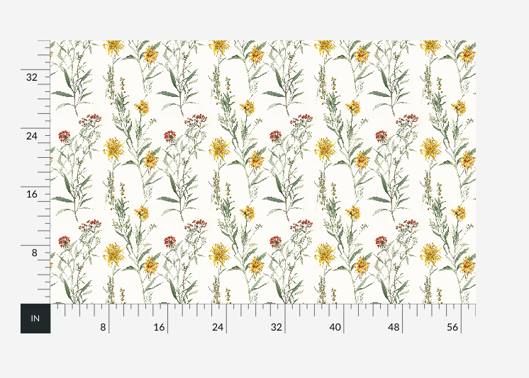 California Goldenrod