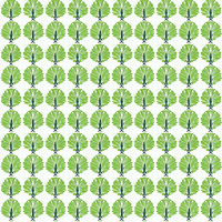Suddenly Lime