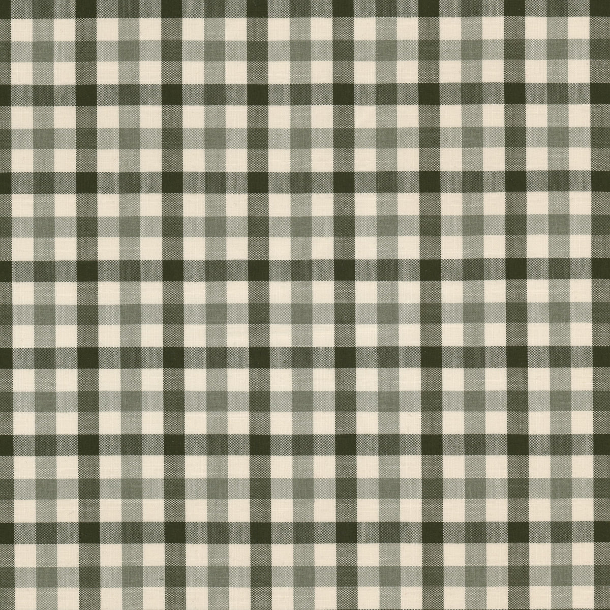 STOUT TWYLA 1 DILL Fabric | Atlanta Fabrics