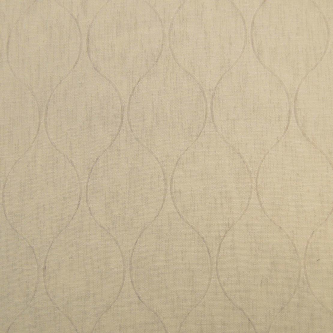 Coastal Wineglass - Coconut