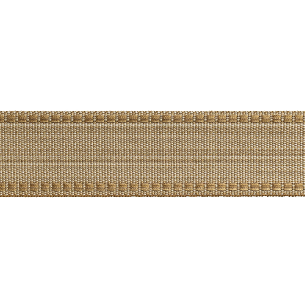 41253 Border Tape