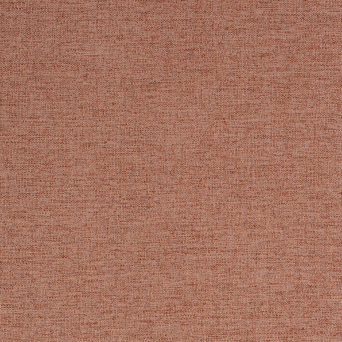 Refresh-Coral