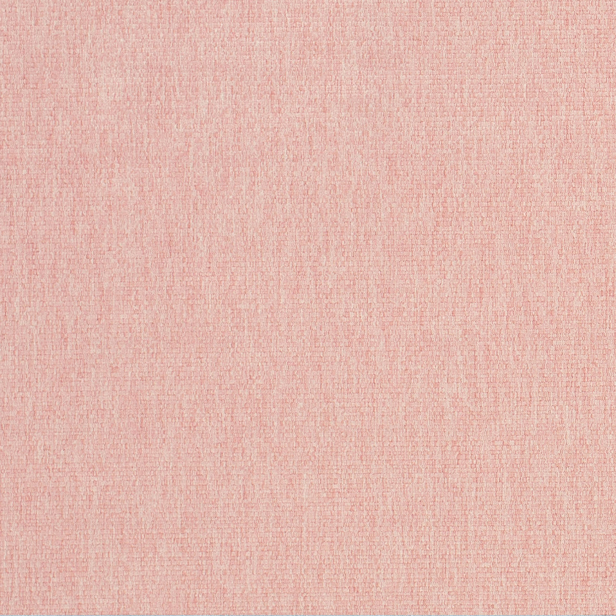Thrive-Blush