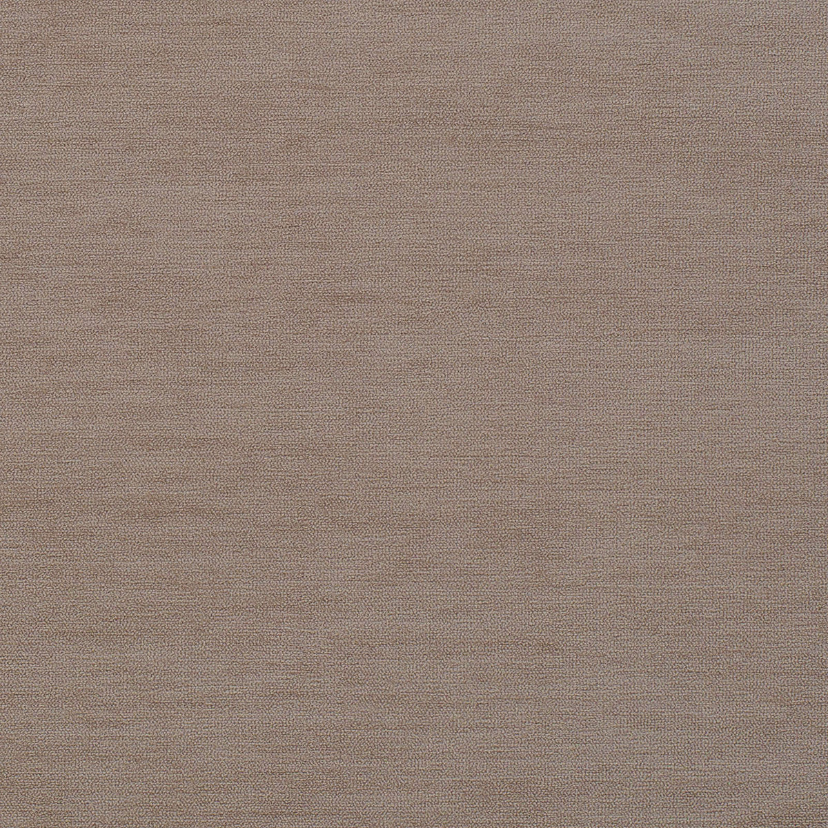 Braydon-Flax