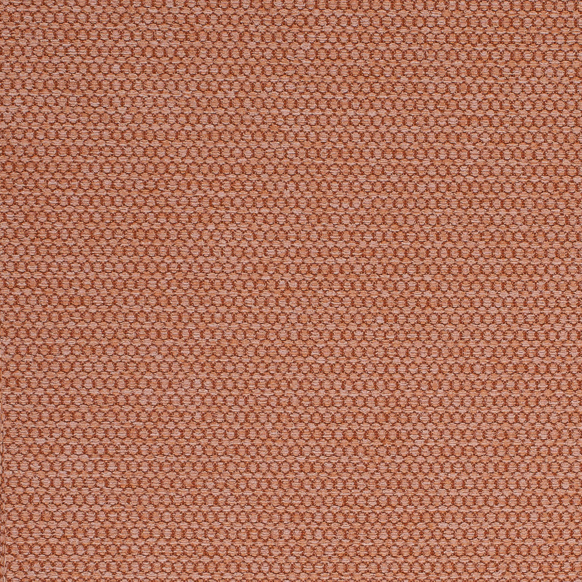 Sampson-Pale Pink