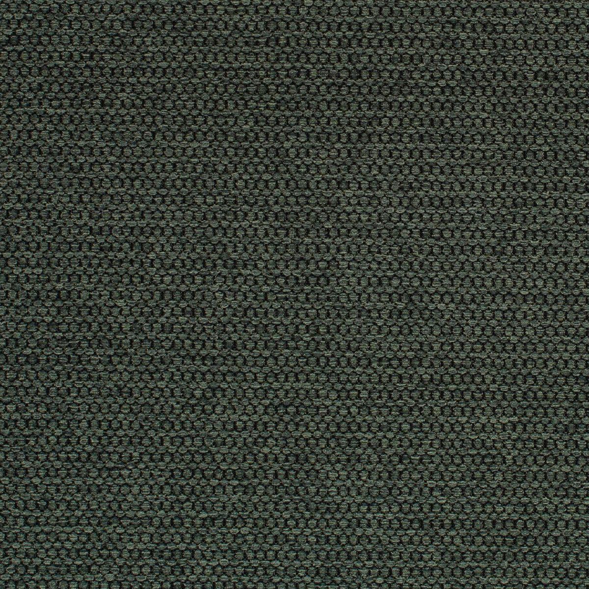 Sampson-Spruce