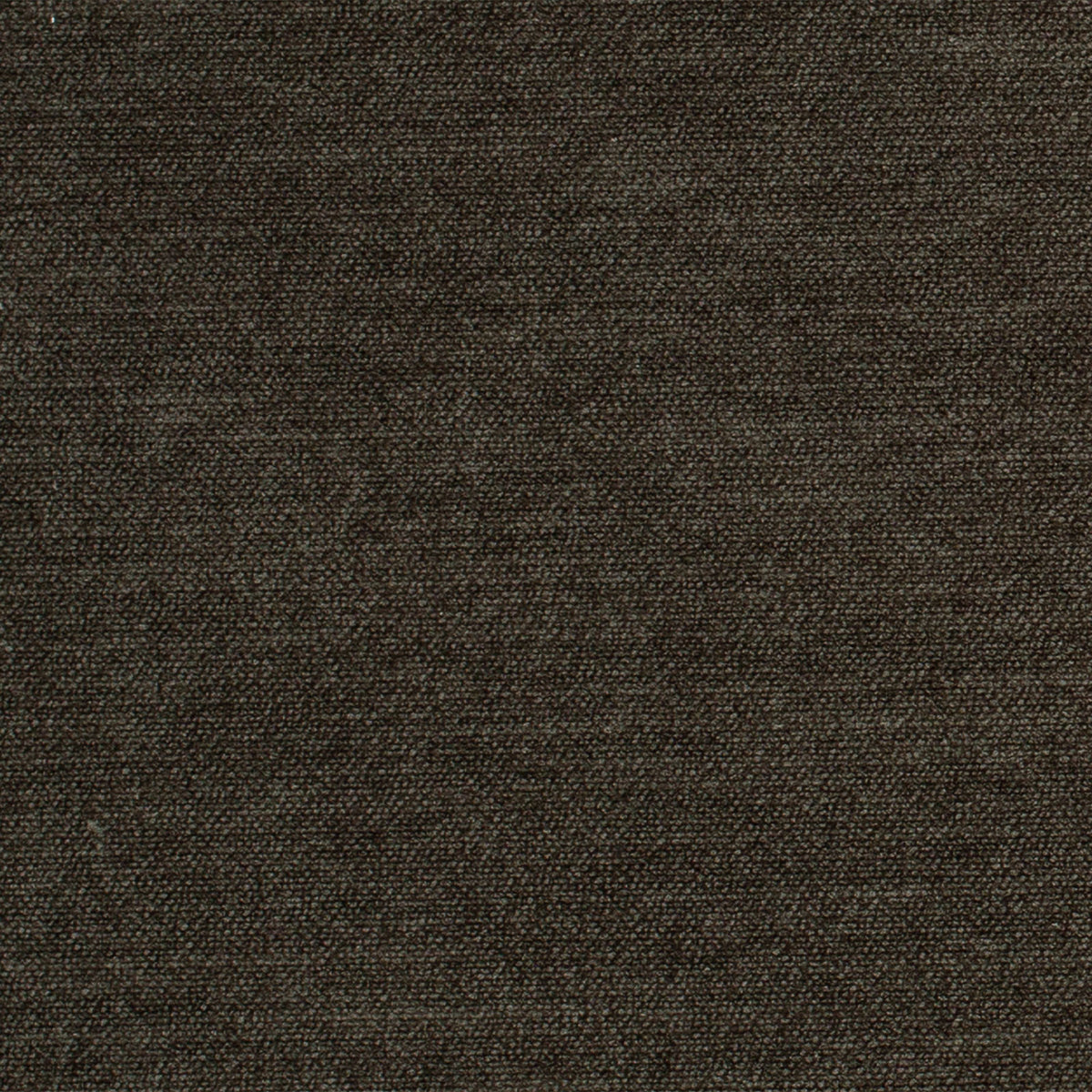 Comfy-Anthracite