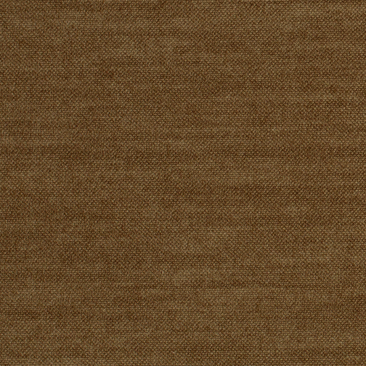 Comfy-Chocolate