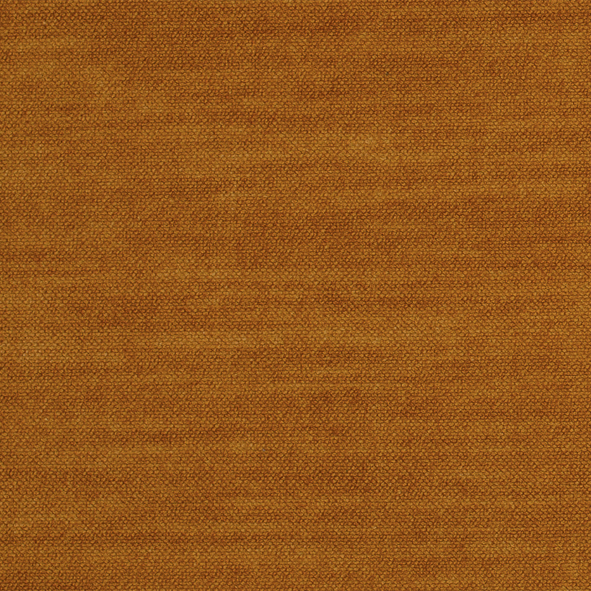 Comfy-Mustard