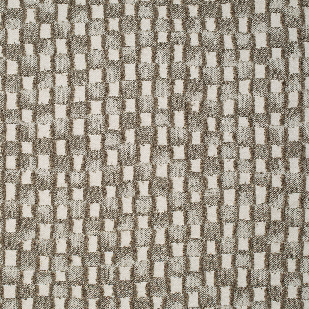 Cambium-Walnut