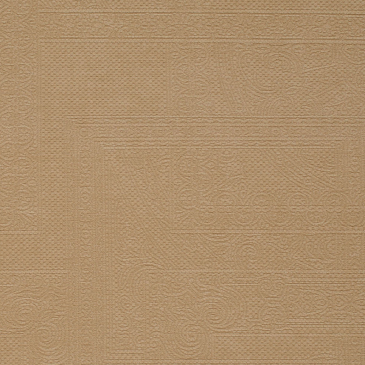 Sapwood-Latte