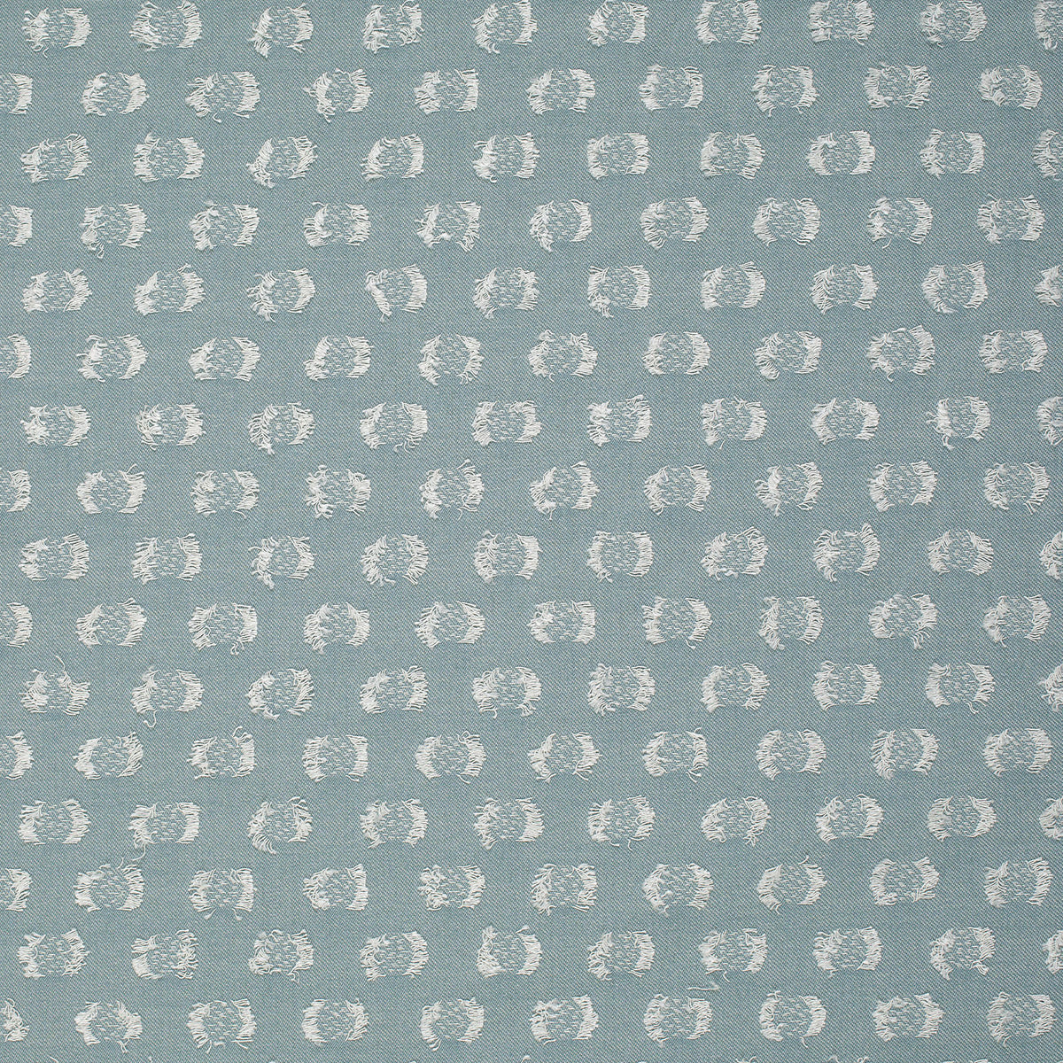 Dottie-Splash