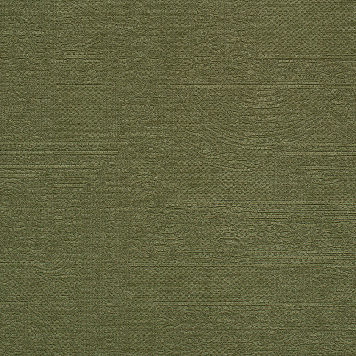 Sapwood-Moss