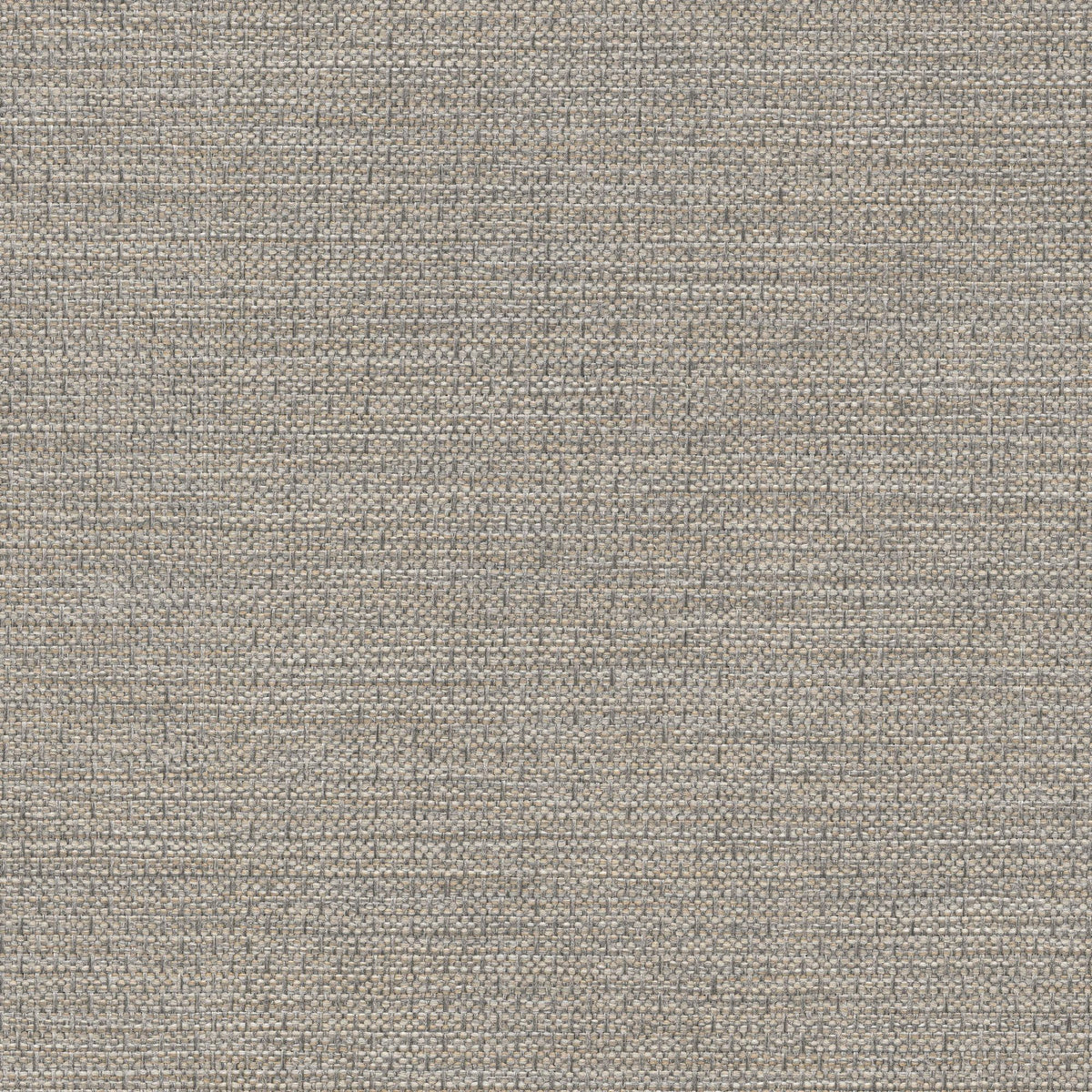 53524 LEMUR (ALLURE)