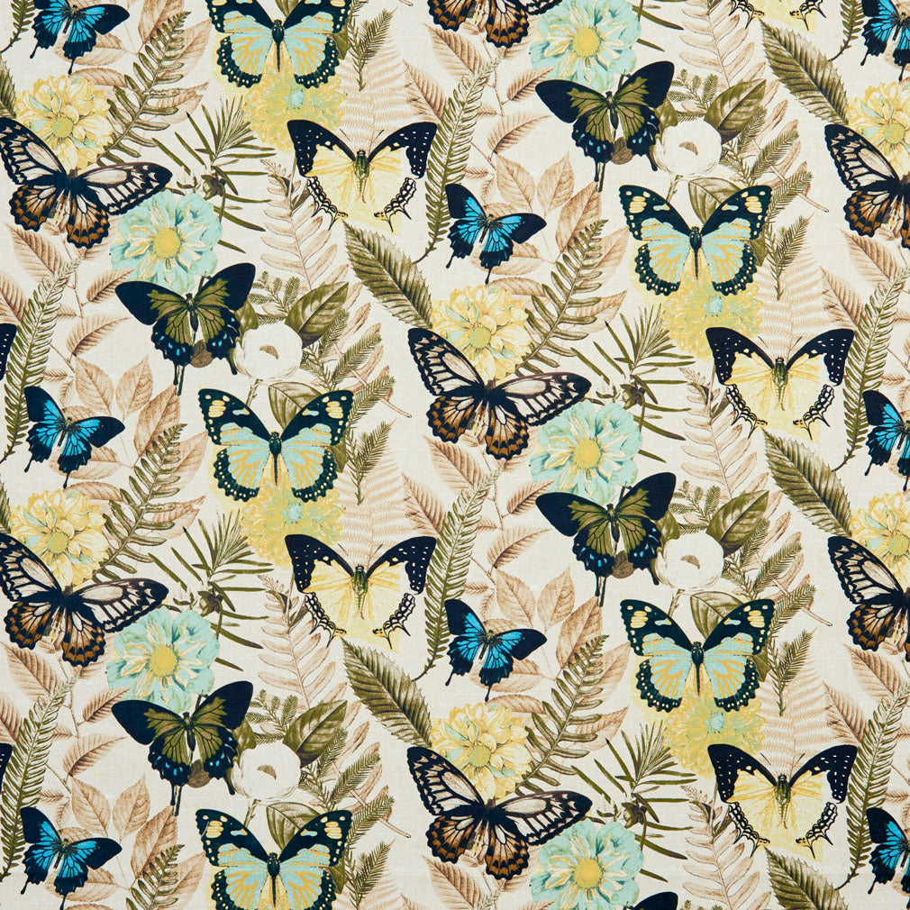 Charlotte Fabrics 20470-02 Fabric | Atlanta Fabrics