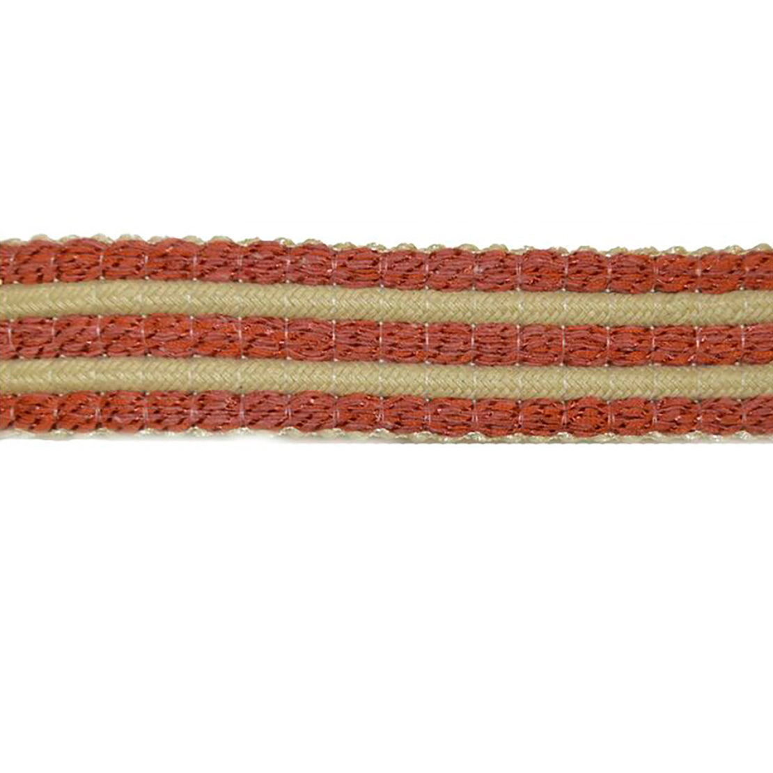 Europatex Rebellious Spice Trim | Atlanta Fabrics