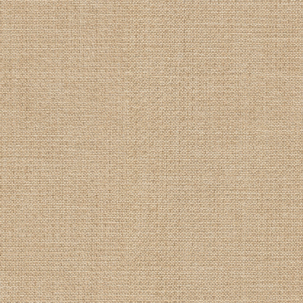 54434 VANILLA (ALLURE)