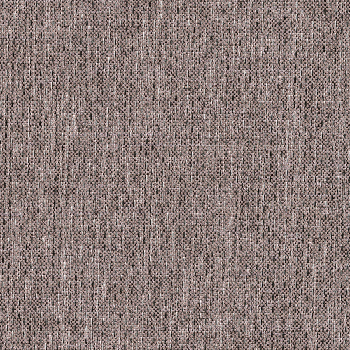 53530 GRAPE (ALLURE)