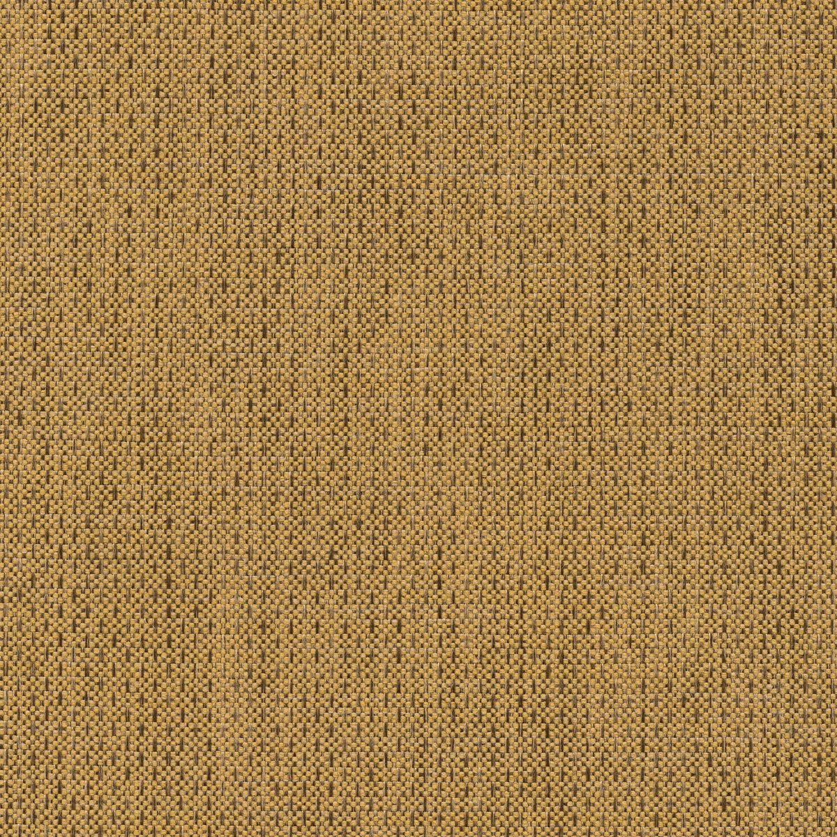 53544 BAMBOO (ALLURE)