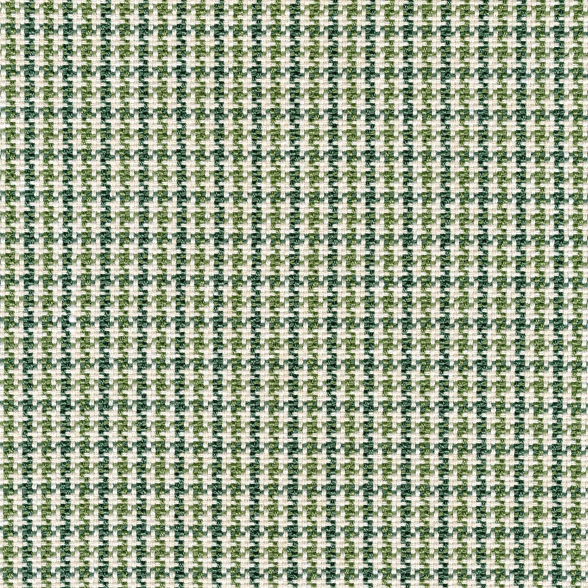 S6940 Fern