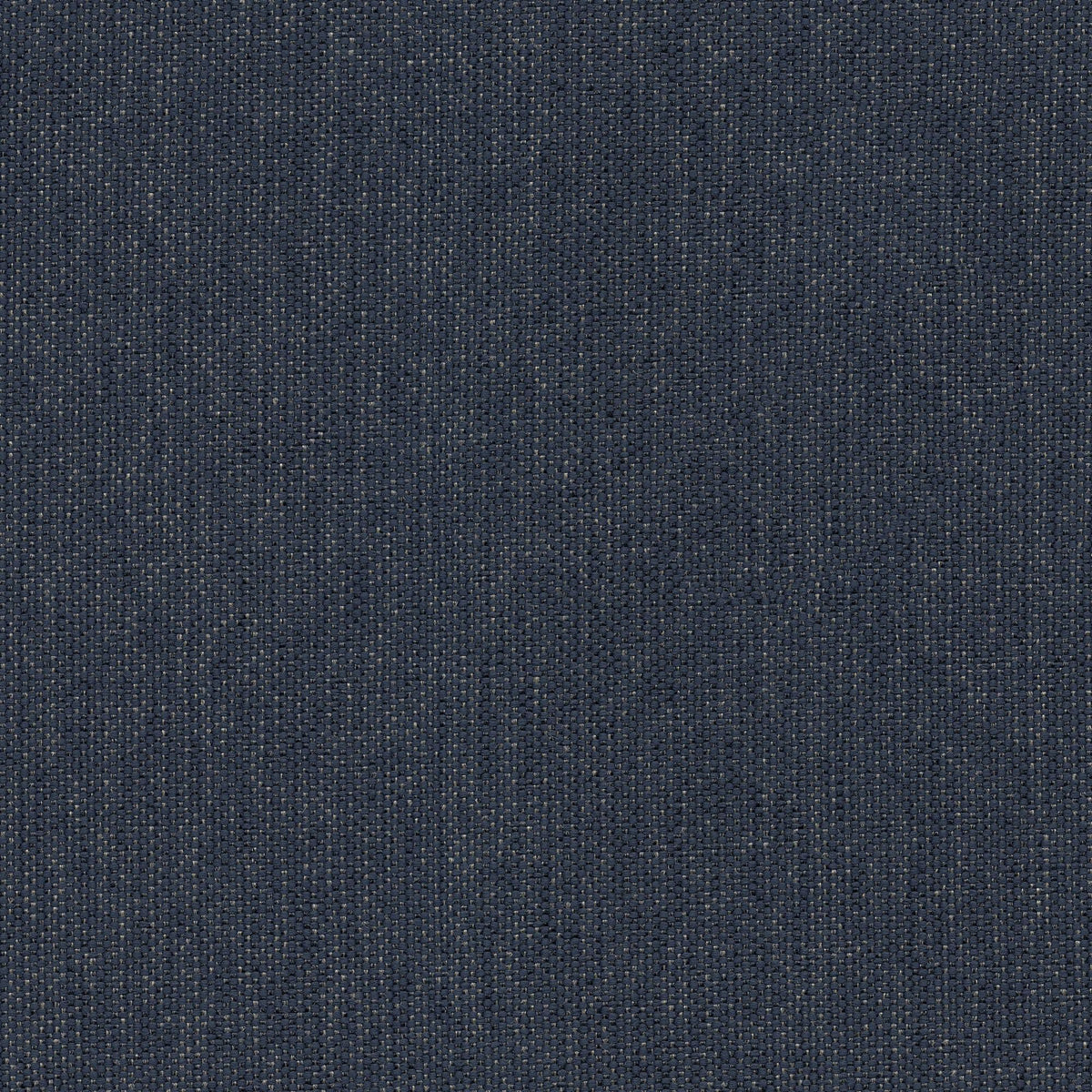 53043 NAVY (CANDY)