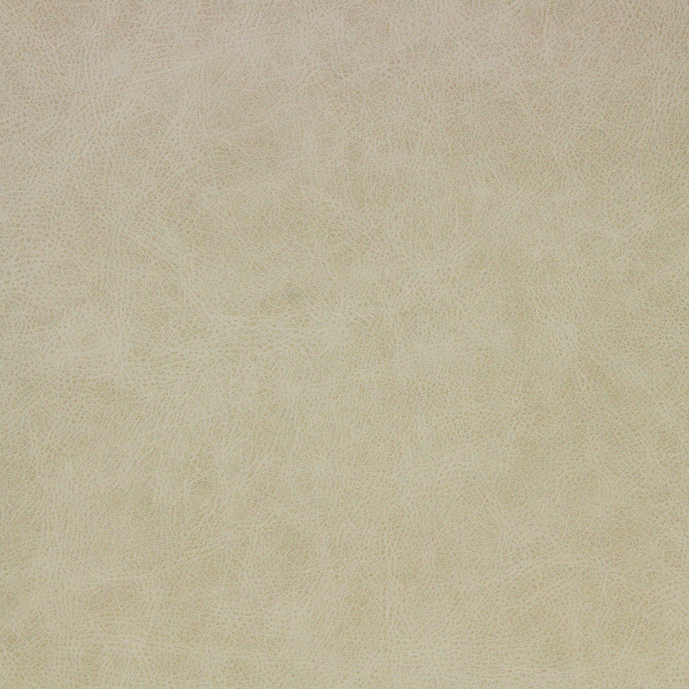 SWITCHBACK-DRIFTWOOD