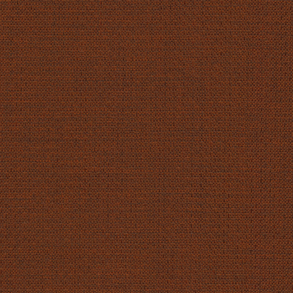 53509 CAYENNE (ALLURE)