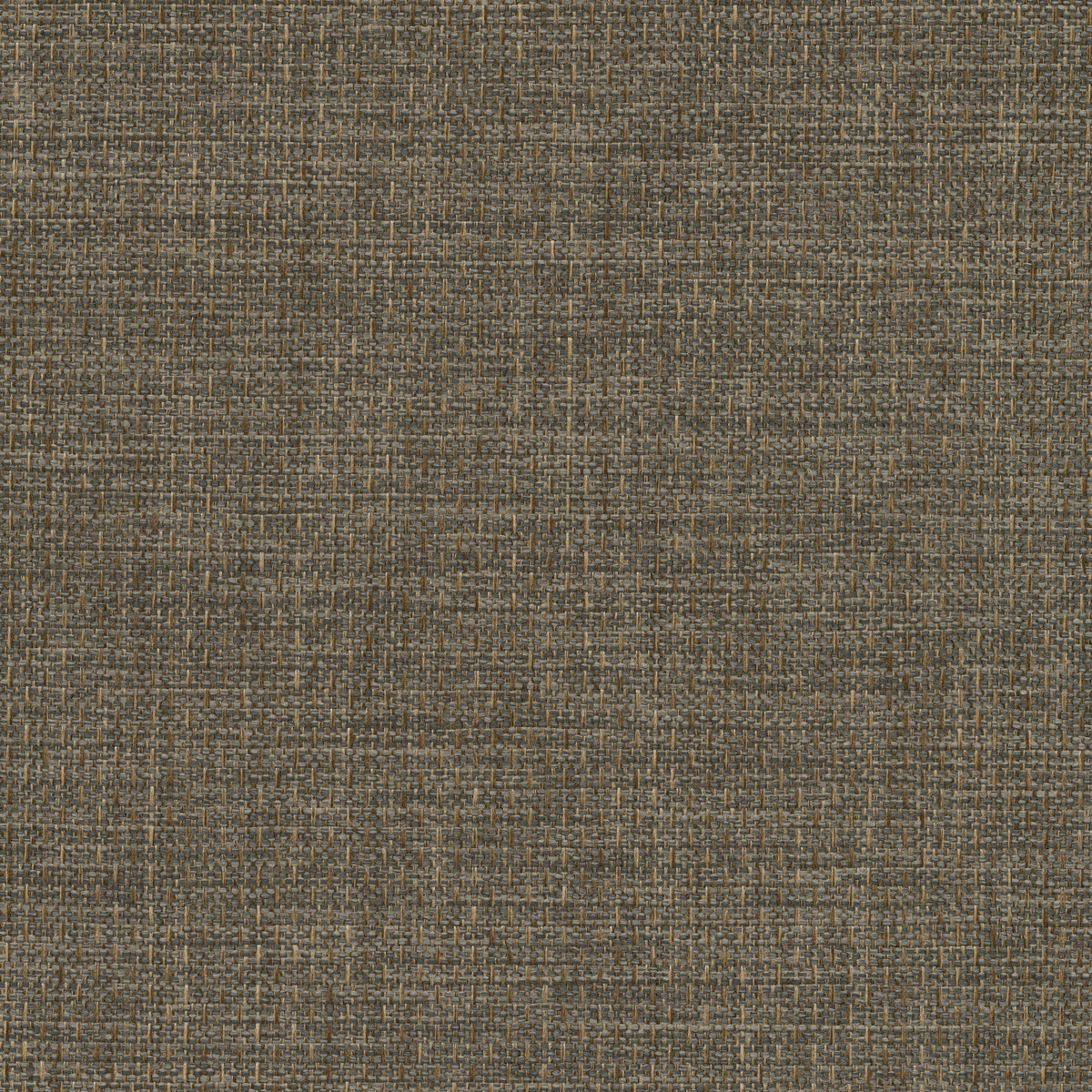Luxury Fabrics 53519 PORCINI (ALLURE) Fabric | Atlanta Fabrics