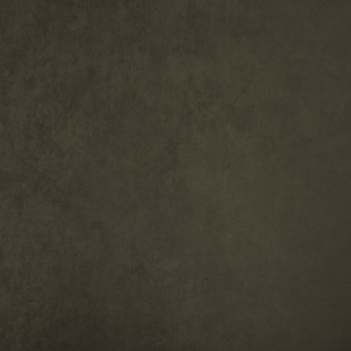 F6049 Smokey
