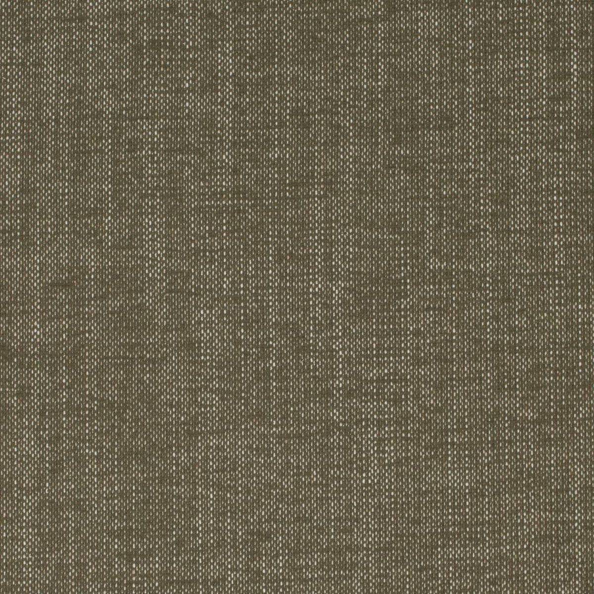 Charlotte Fabrics F100-148 Fabric | Atlanta Fabrics