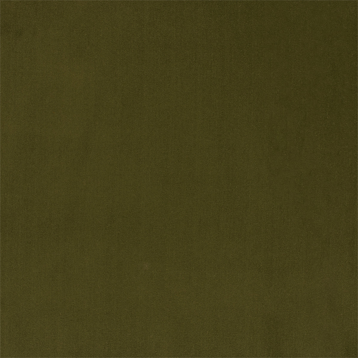 F6136 Olive