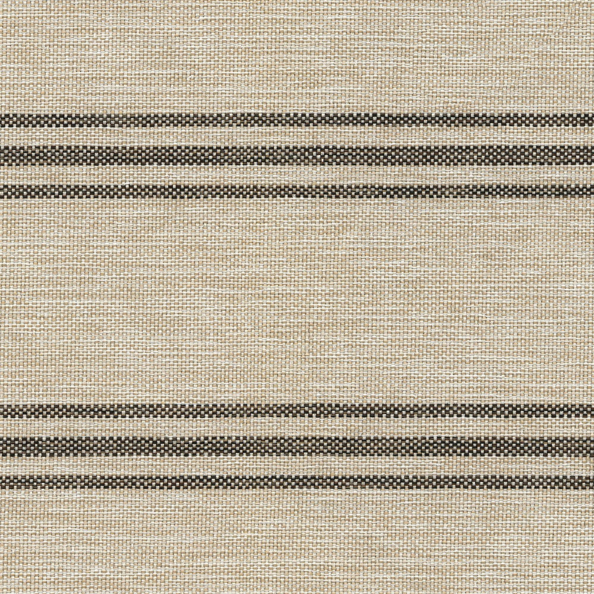 Luxury Fabrics 53021 CHARCOAL (NOVEL) Fabric | Atlanta Fabrics