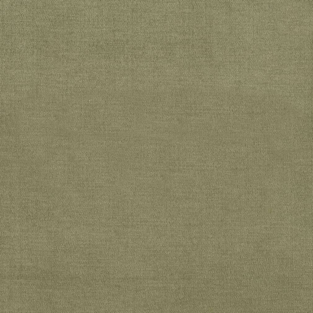 Charlotte Fabrics D3834 Fern Fabric | Atlanta Fabrics