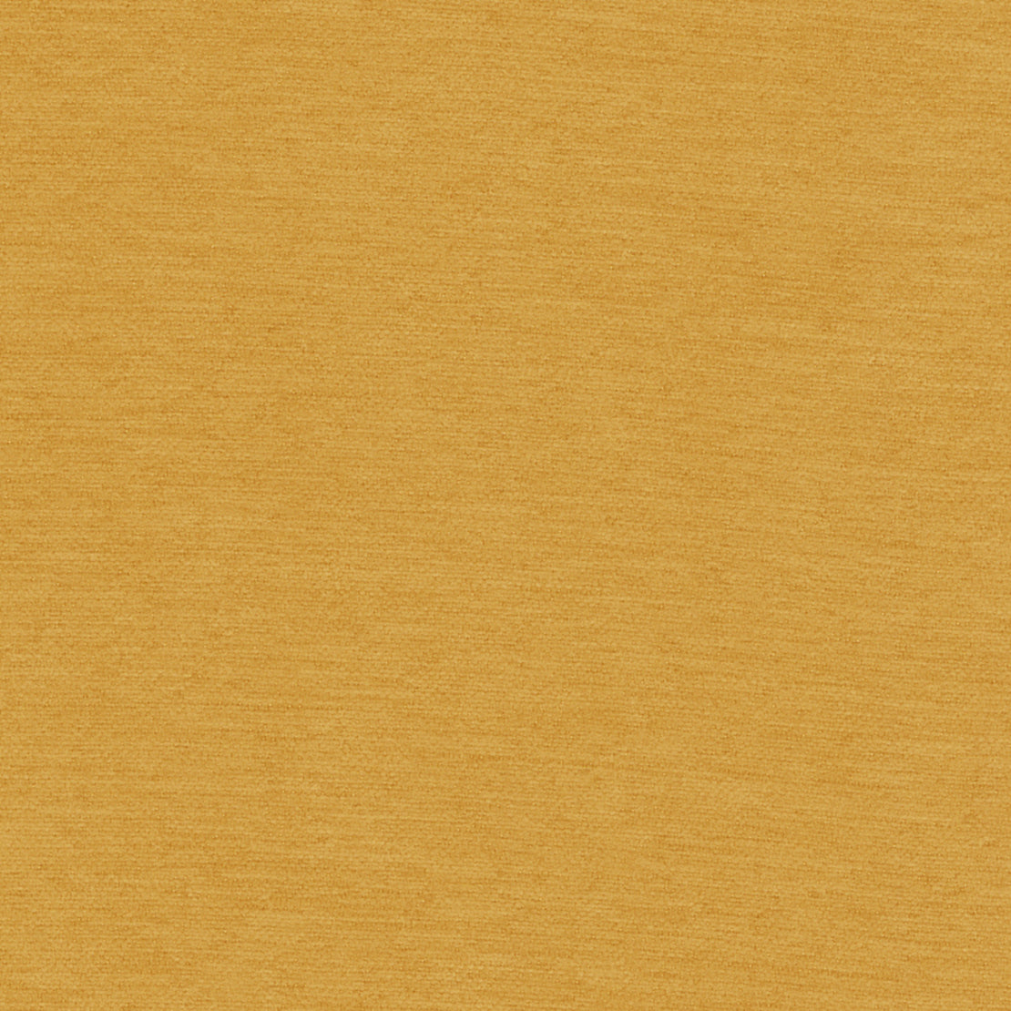 Samson - Mustard