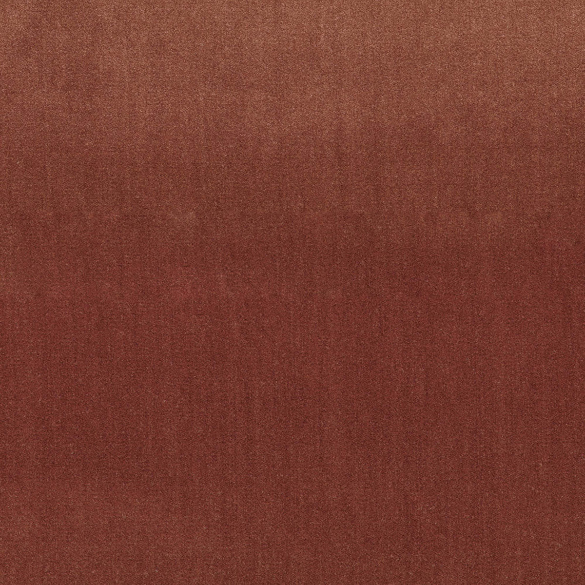 F6134 Russet