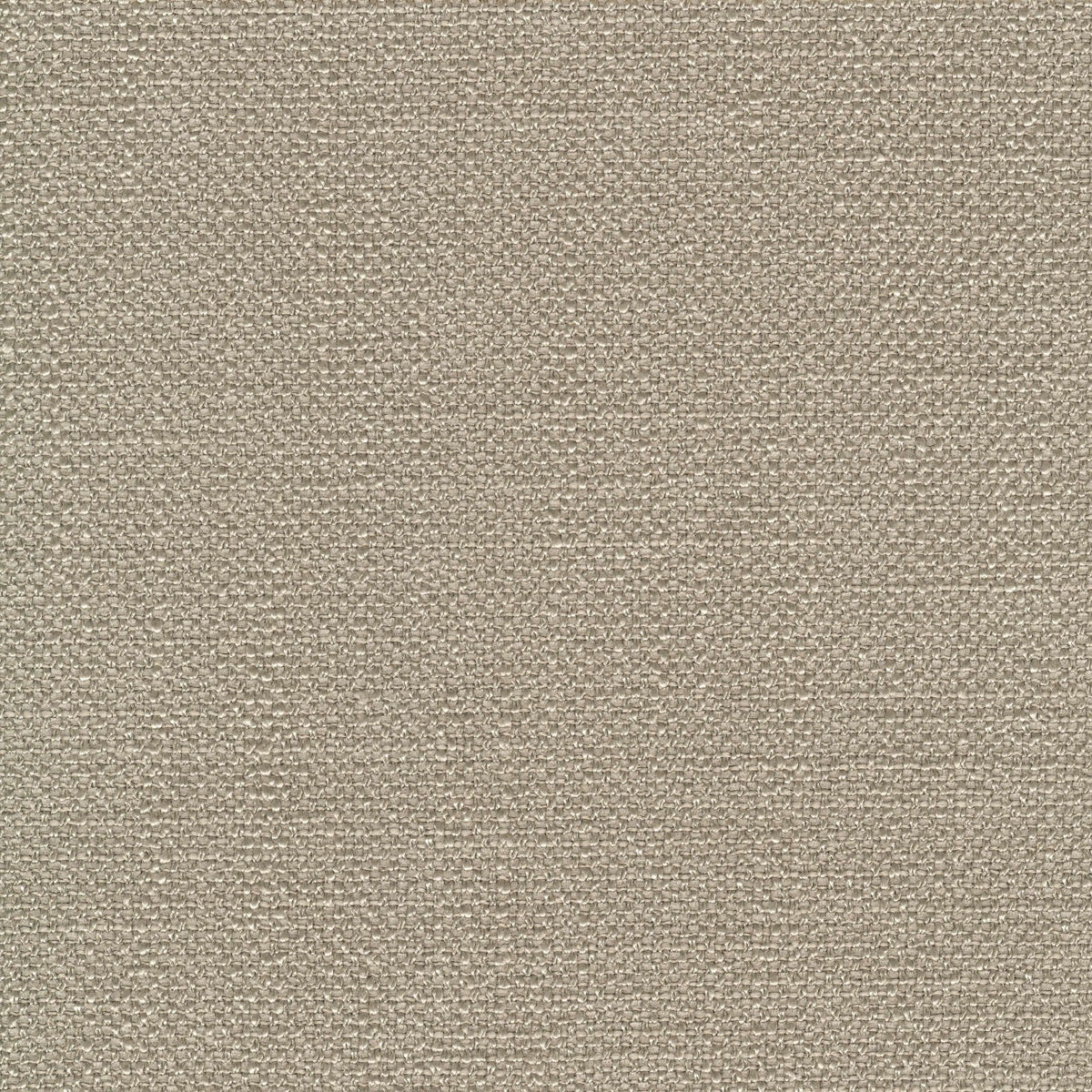 53929 DOVE (DELIGHT)