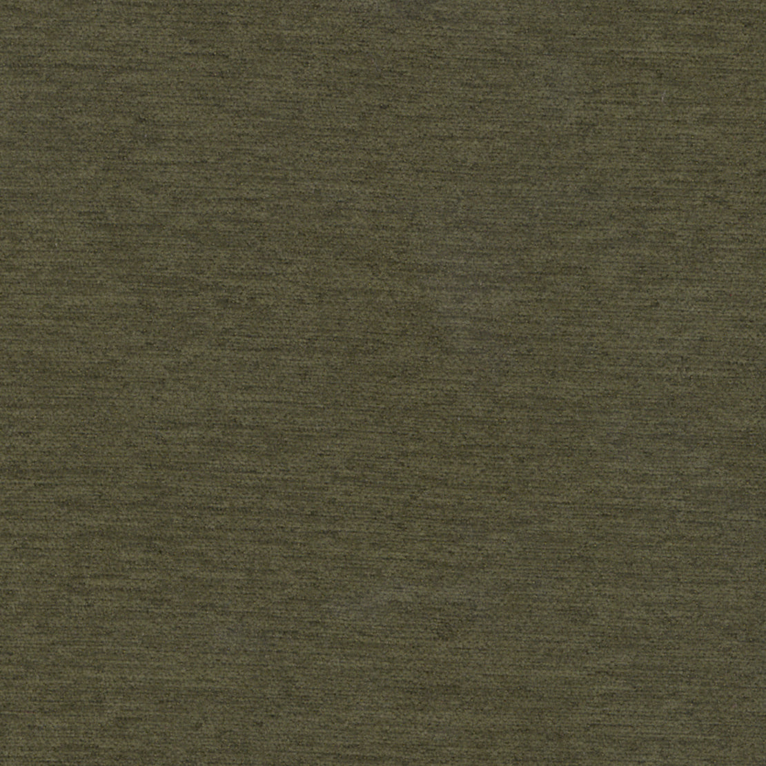 Samson - Olive