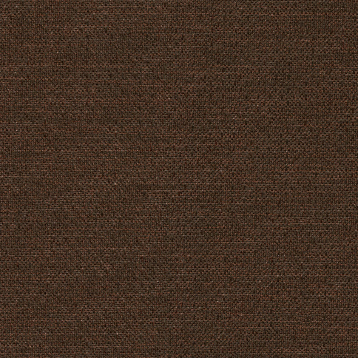 53547 COCOA (ALLURE)