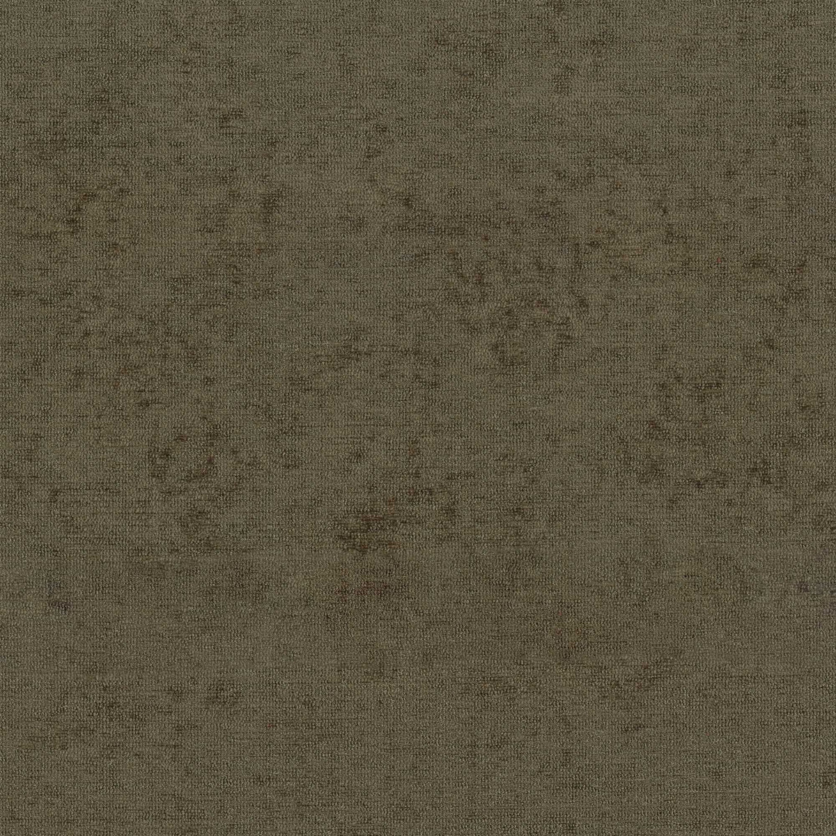 54109 BRINDLE (NAPLES)