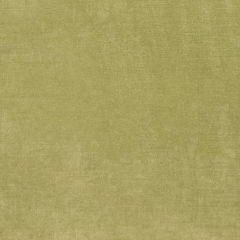 Charlotte Fabrics D3816 Avocado Fabric | Atlanta Fabrics