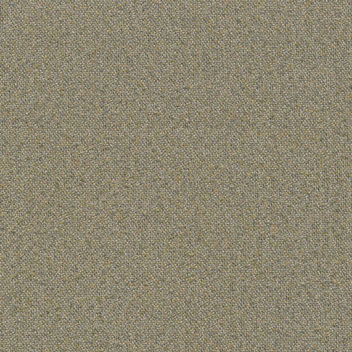 54819 SPRAY (NIMBLE)