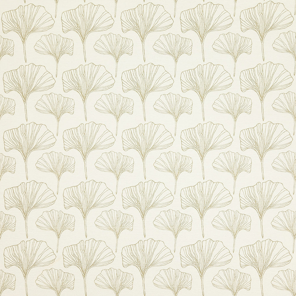 Ginkgo Sketches Natural