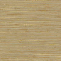 Carole Absolution (FR) Fabric | Atlanta Fabrics