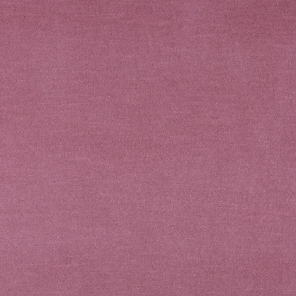 Charlotte Fabrics 10001-02 Fabric | Atlanta Fabrics