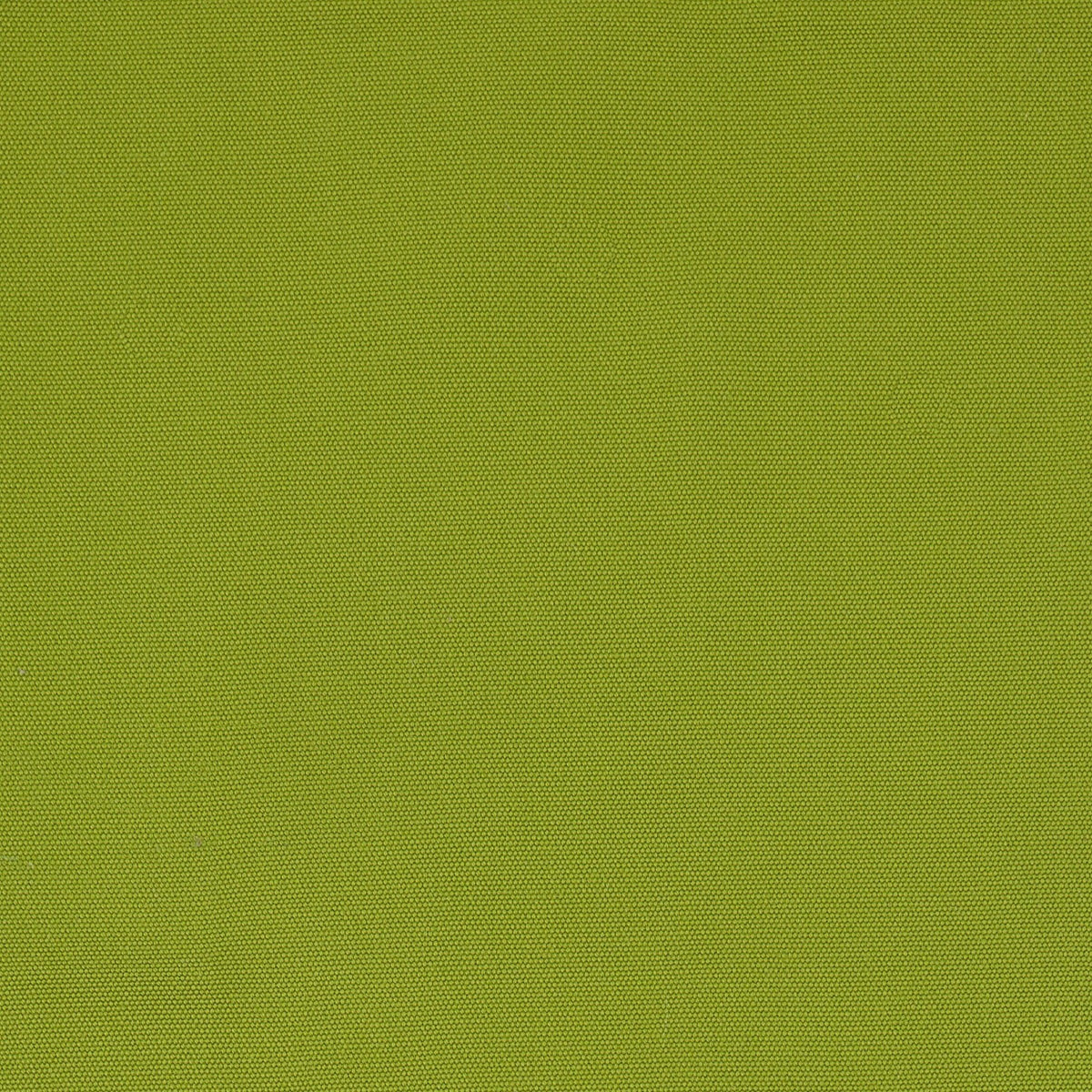Almeria - Lime - Atlanta Fabrics