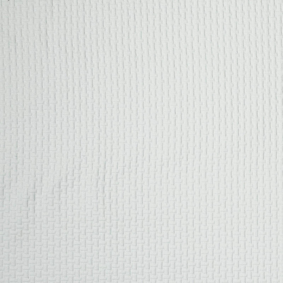 Barren-Antique White - Atlanta Fabrics