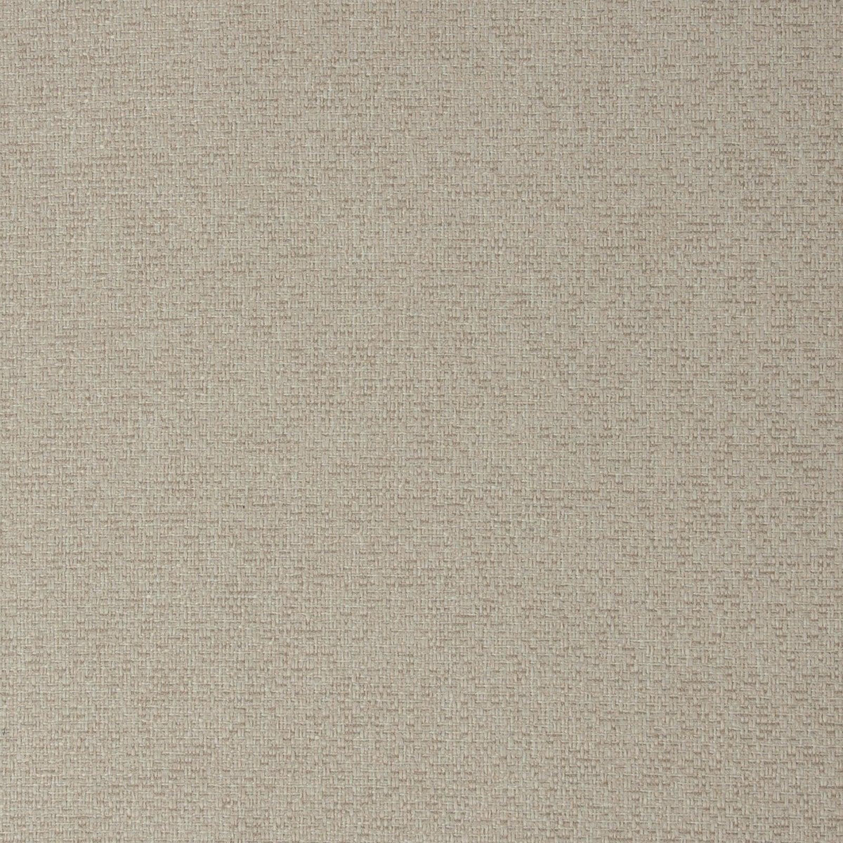 Catrell-Eggshell - Atlanta Fabrics