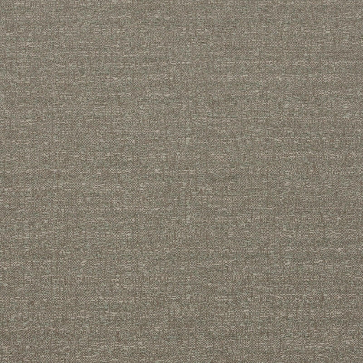 Corvus-Latte - Atlanta Fabrics