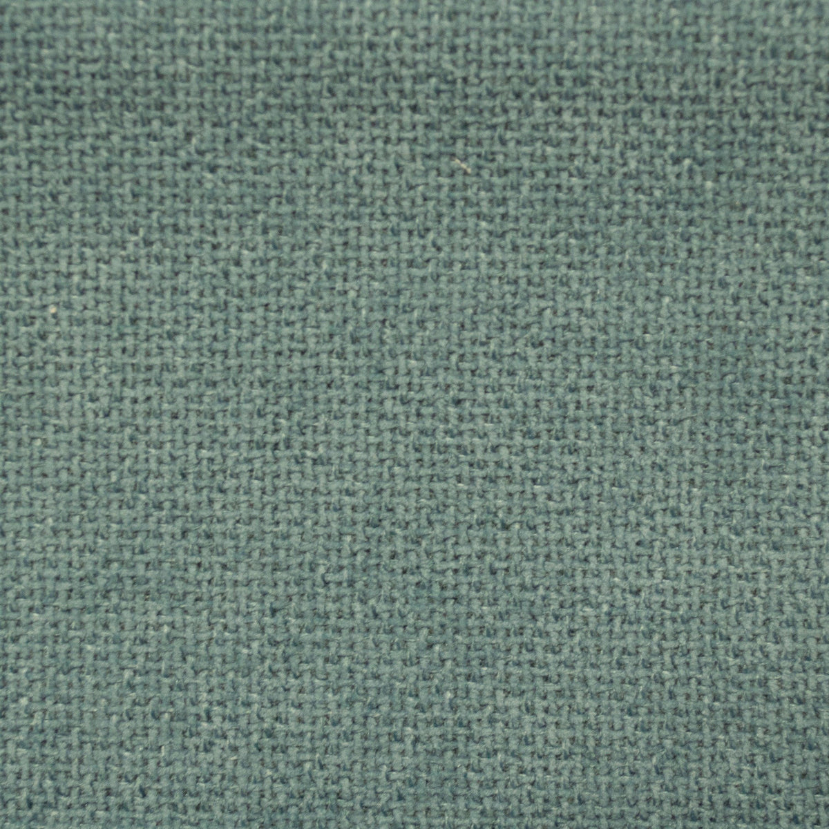 Cuddle-Surf - Atlanta Fabrics