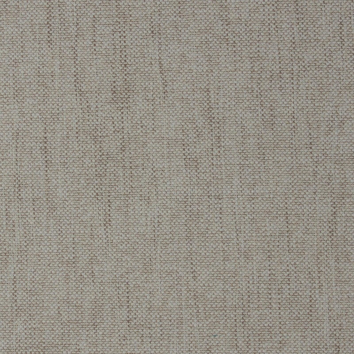 Darling-Eggshell - Atlanta Fabrics
